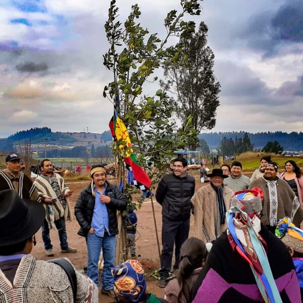 We-tripantu-en-Traiguen-1-scaled